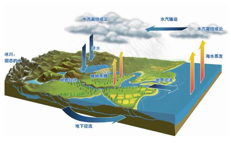 森林蒸騰與水循環(huán)樹(shù)木如何蒸發(fā)水分與大氣共享