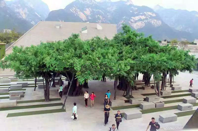 仿真榕樹(shù)