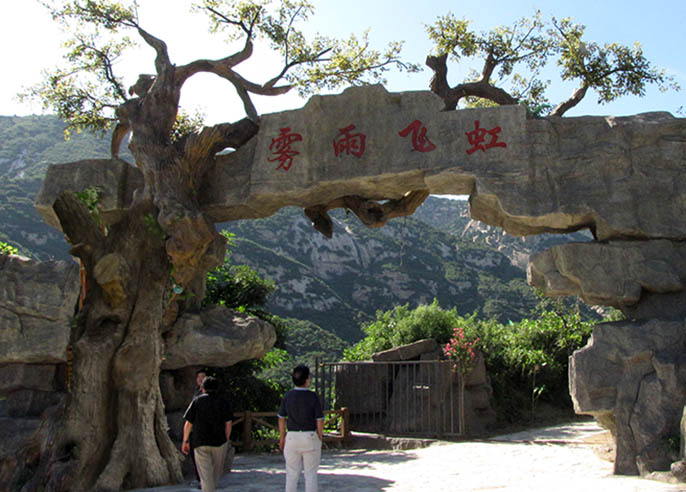仿真樹(shù)大門(mén)