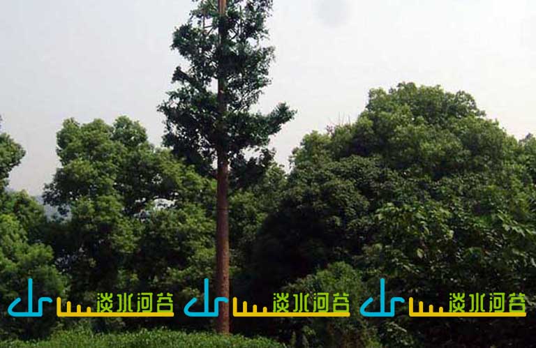 仿真樹(shù)電線桿