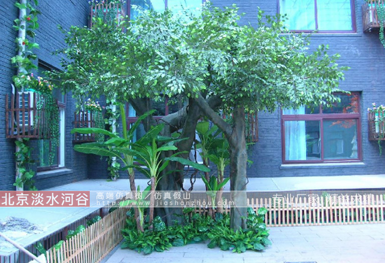 假樹(shù)