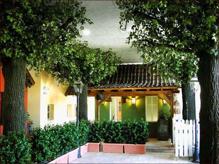 室內(nèi)仿真樹(shù)圖片