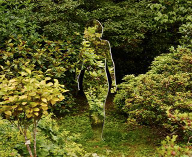 植物